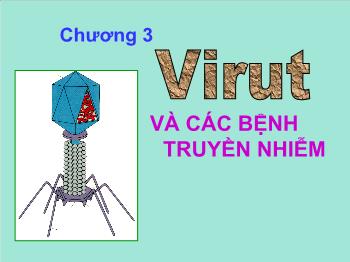 Bài giảng môn Sinh học - Tiết 31 - Bài 29 + 30: Cấu trúc các loại virút vàsự nhân lên của virut trong tế bào chủ