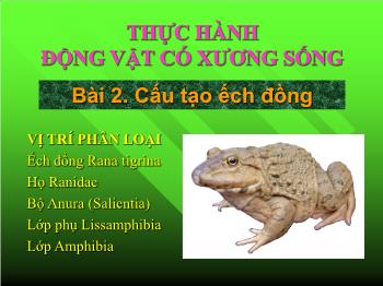 Bài giảng Sinh học - Bài 2: Cấu tạo ếch đồng