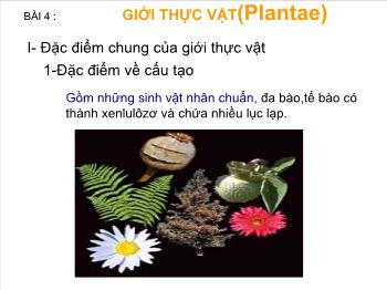 Bài giảng Sinh học - Bài 4: Giới thực vật (plantae)