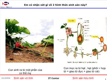 Bài giảng Sinh học - Bài 42: Sinh sản hữu tính ở thực vật
