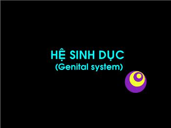 Bài giảng Sinh học - Hệ sinh dục (genital system)