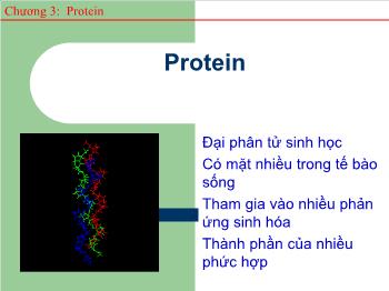 Bài giảng Sinh học - Protein