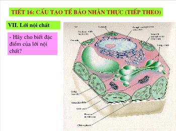 Bài giảng Sinh học - Tết 16: Cấu tạo tế bào nhân thực (tiếp theo)