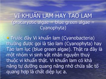 Bài giảng Sinh học - Vi khuẩn lam hay tảo lam
