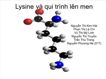 Lysine và qui trình lên men