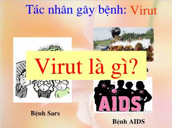 Bài giảng môn Sinh học - Bài 43: Cấu trúc các loại virut