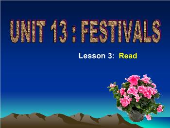 Bài giảng Tiếng Anh - Unit 13: Festivals