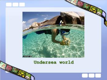 Bài giảng Tiếng Anh - Unit 9: Undersea world